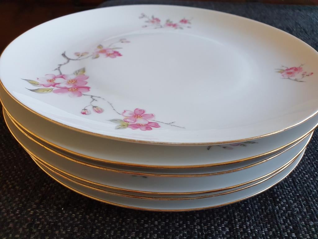 6 Winterling Marktleuthen Bavaria dinerborden, Ophalen of Verzenden, Zo goed als nieuw, Bord(en), Overige stijlen