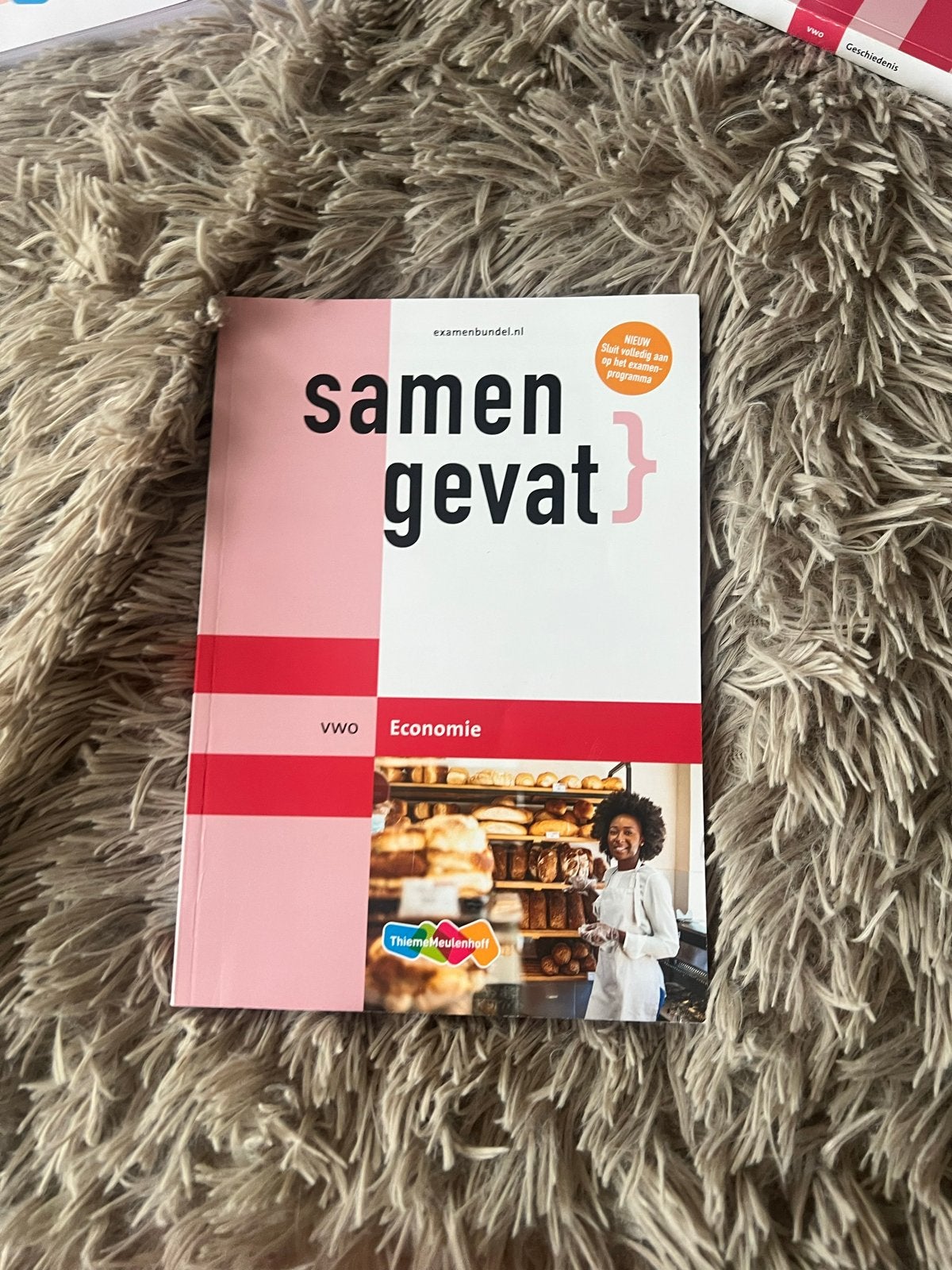Samengevat VWO Economie - Examenbundel, Verzenden, Gamma, Zo goed als nieuw, WO