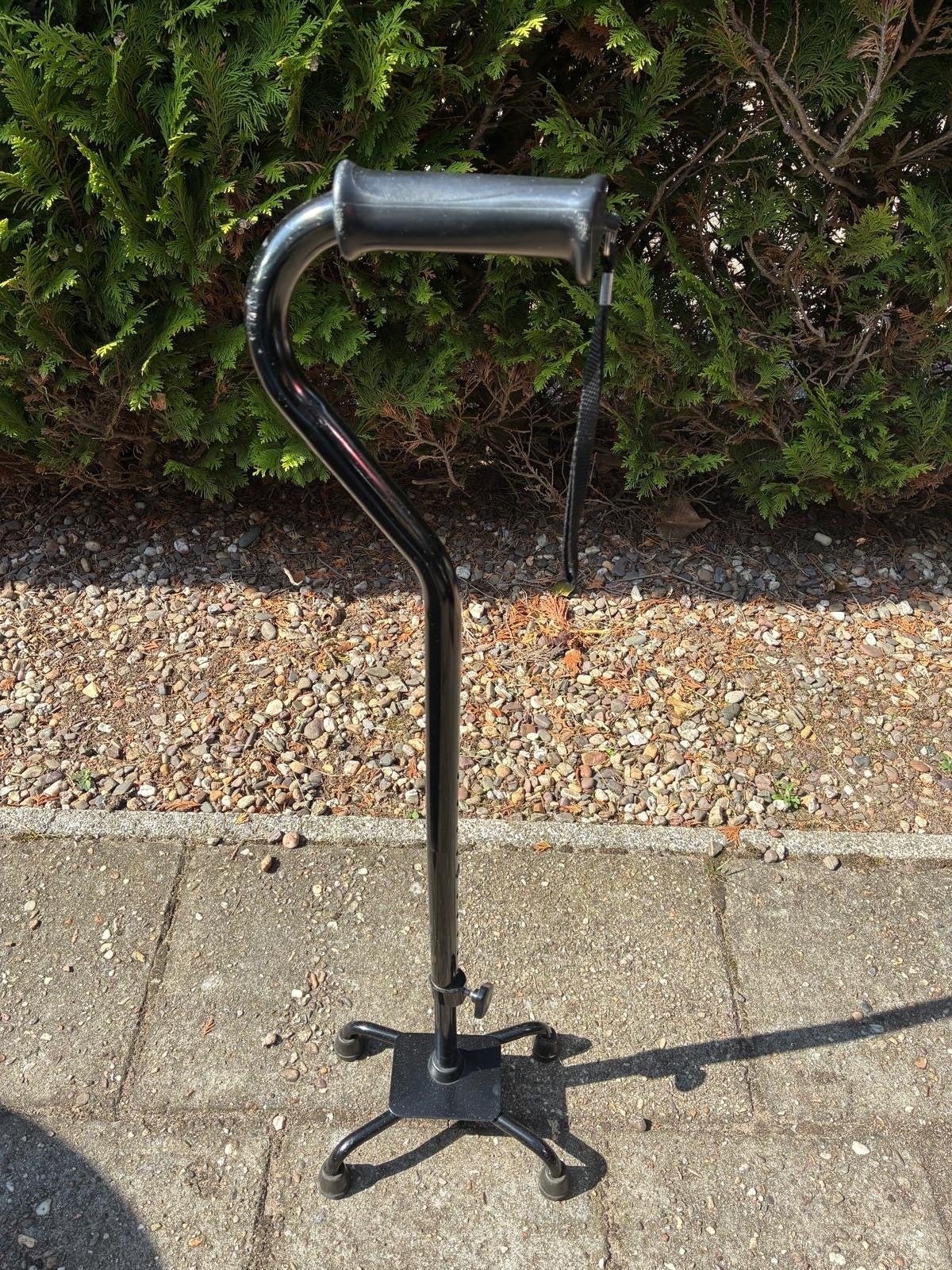 Wandelstok met voet, Diversen, Wandelstokken, Ophalen, Zo goed als nieuw
