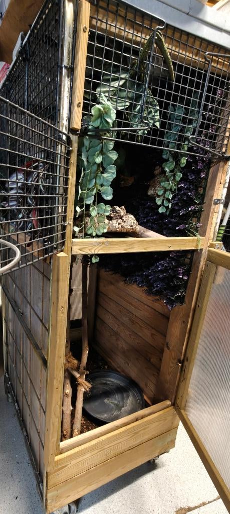 Buiten terrarium, Ophalen of Verzenden