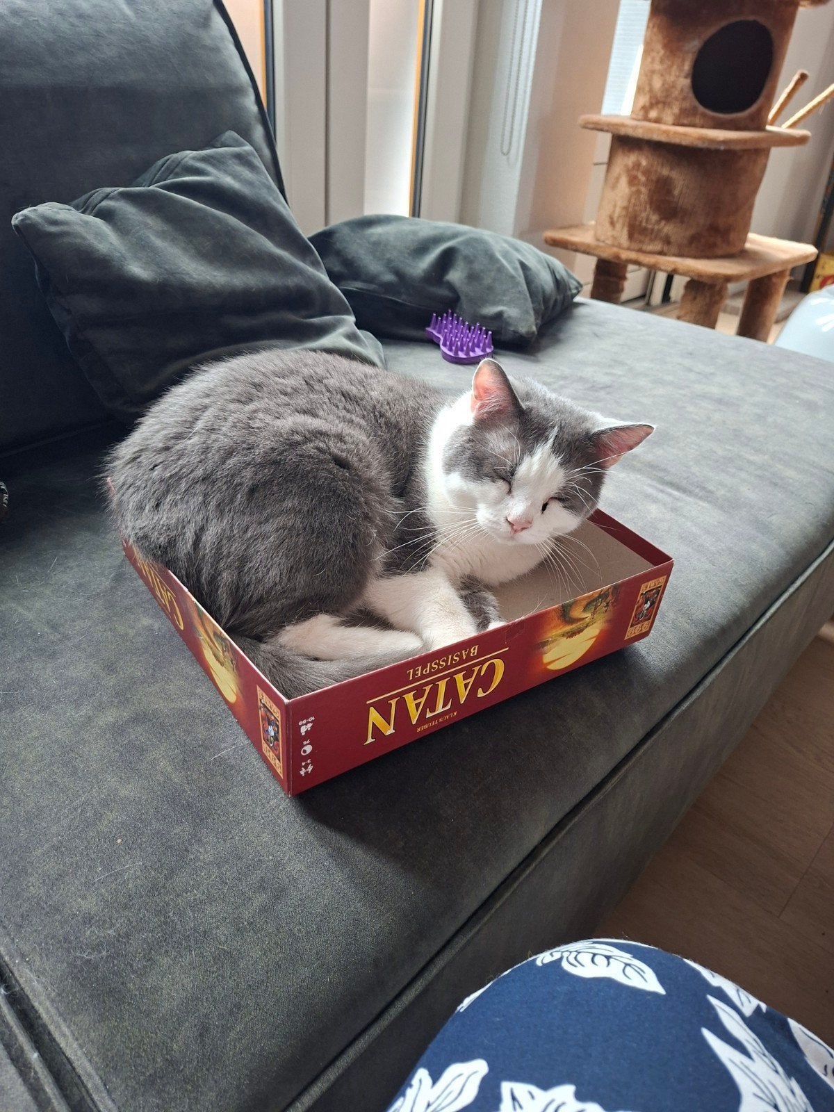 Ben is vermist