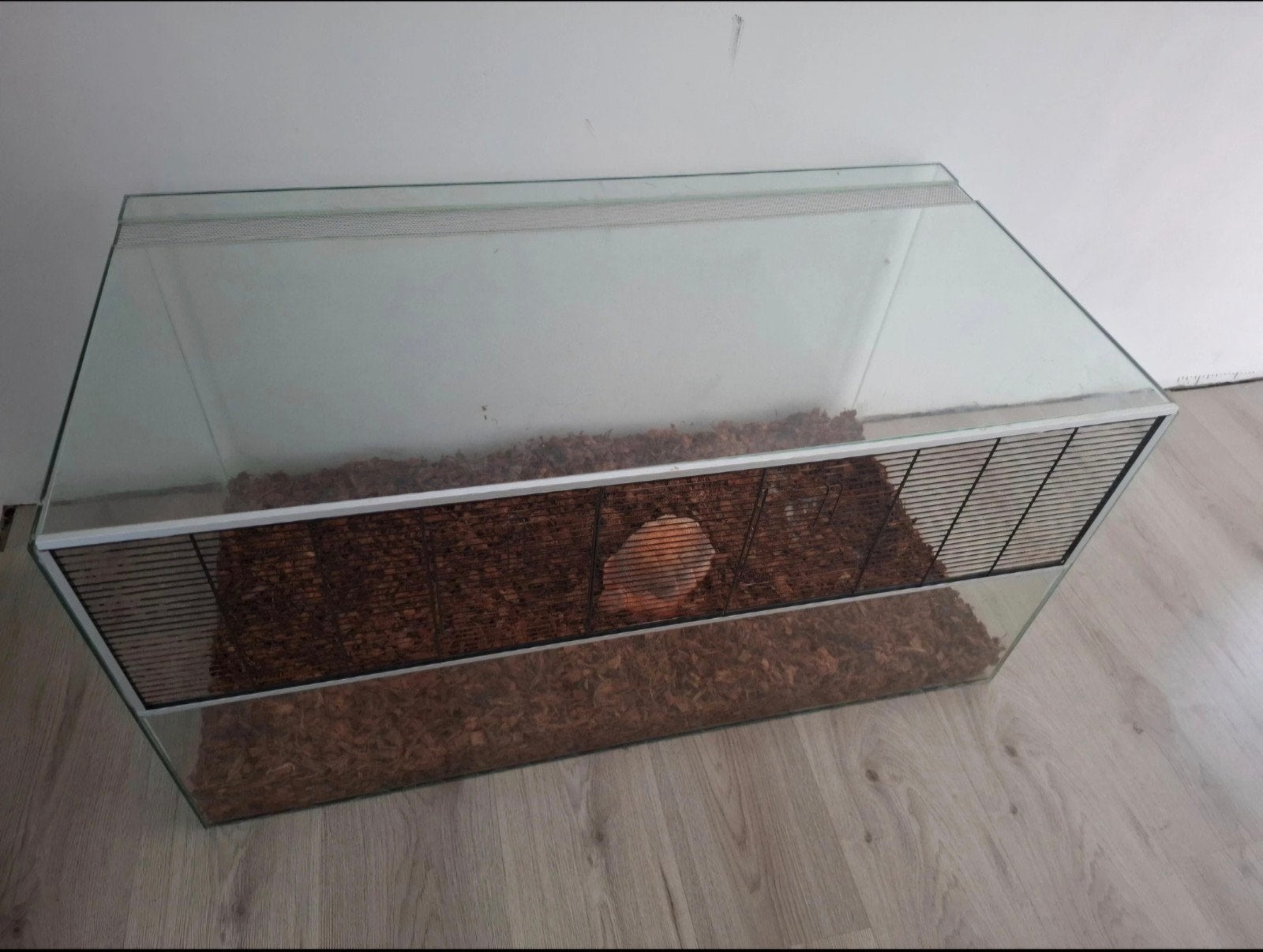 Glazen terrarium voor reptielen of knaagdier, Ophalen, Zo goed als nieuw, Terrarium of Paludarium