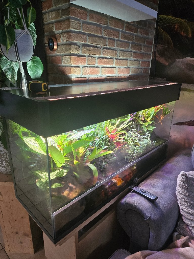 Paludarium, Ophalen, Terrarium of Paludarium