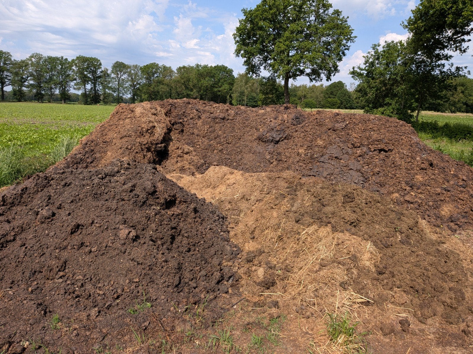 Gratis compost/paardenmest, Ophalen of Verzenden, Compost