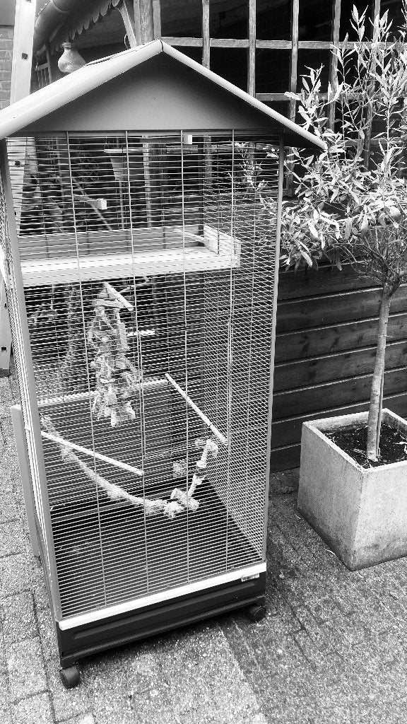 vogelkooi, Ophalen, Zo goed als nieuw, Metaal, Vogelkooi