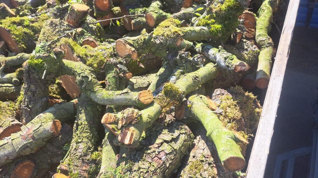 Haardhout perenbomen - Gedroogd en vers gezaagd beschikbaar, Ophalen of Verzenden, Overige houtsoorten, Blokken