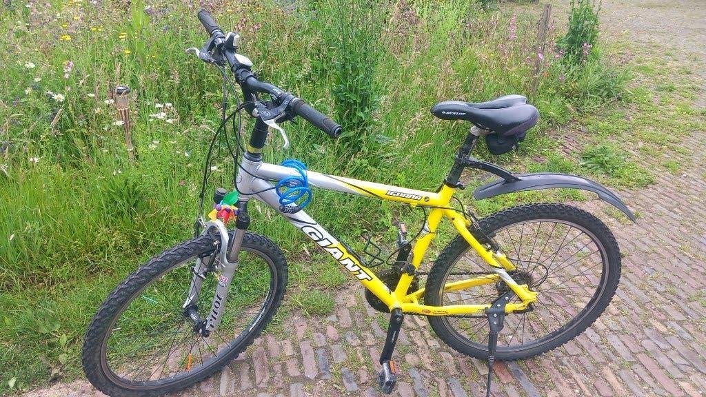 Fiets MTB Giant, Ophalen, Gebruikt, 45 tot 49 cm, Giant