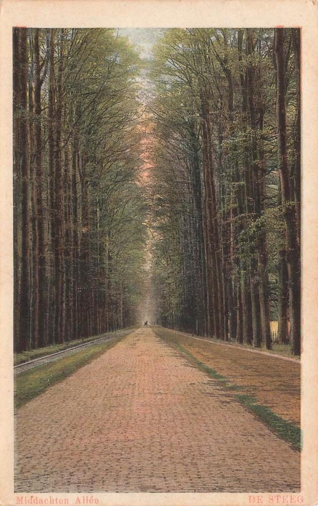 De Steeg, Middachten Allée  1925, Ophalen of Verzenden, 1920 tot 1940, Gelopen, Gelderland