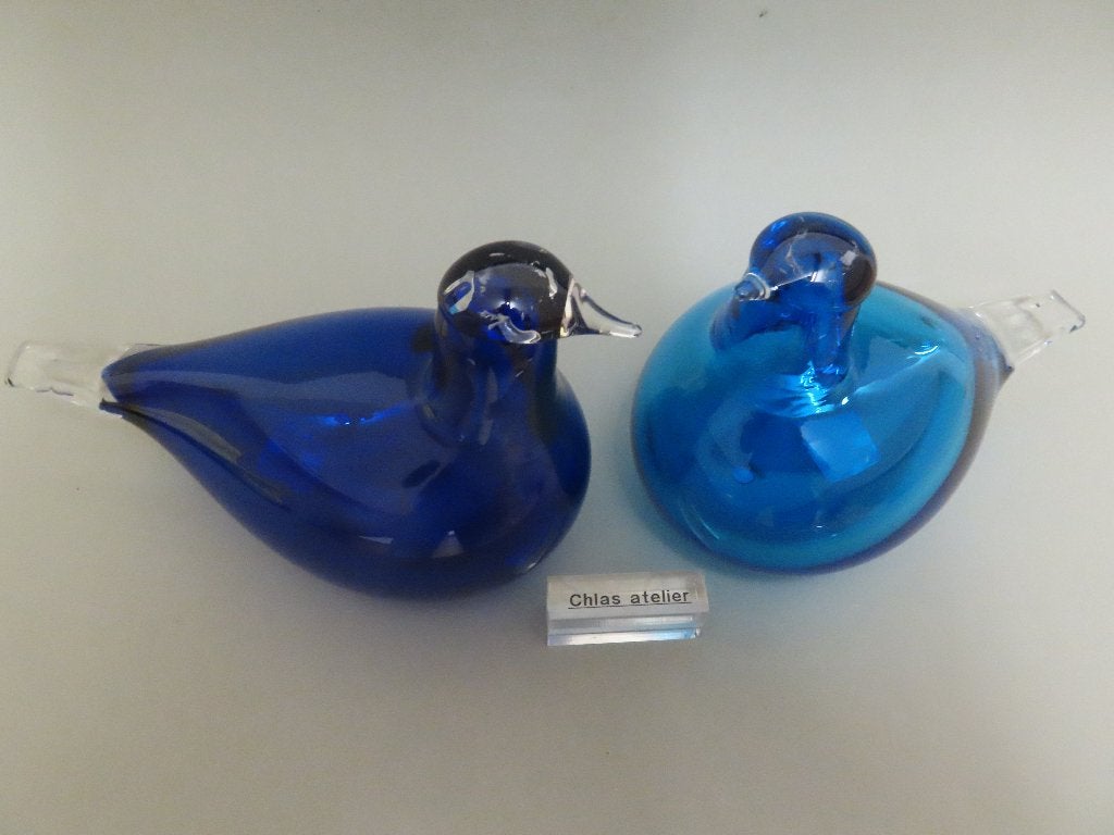 Toikka iittala Kustvogel ( set ), Ophalen of Verzenden, Glas, Handgemaakt