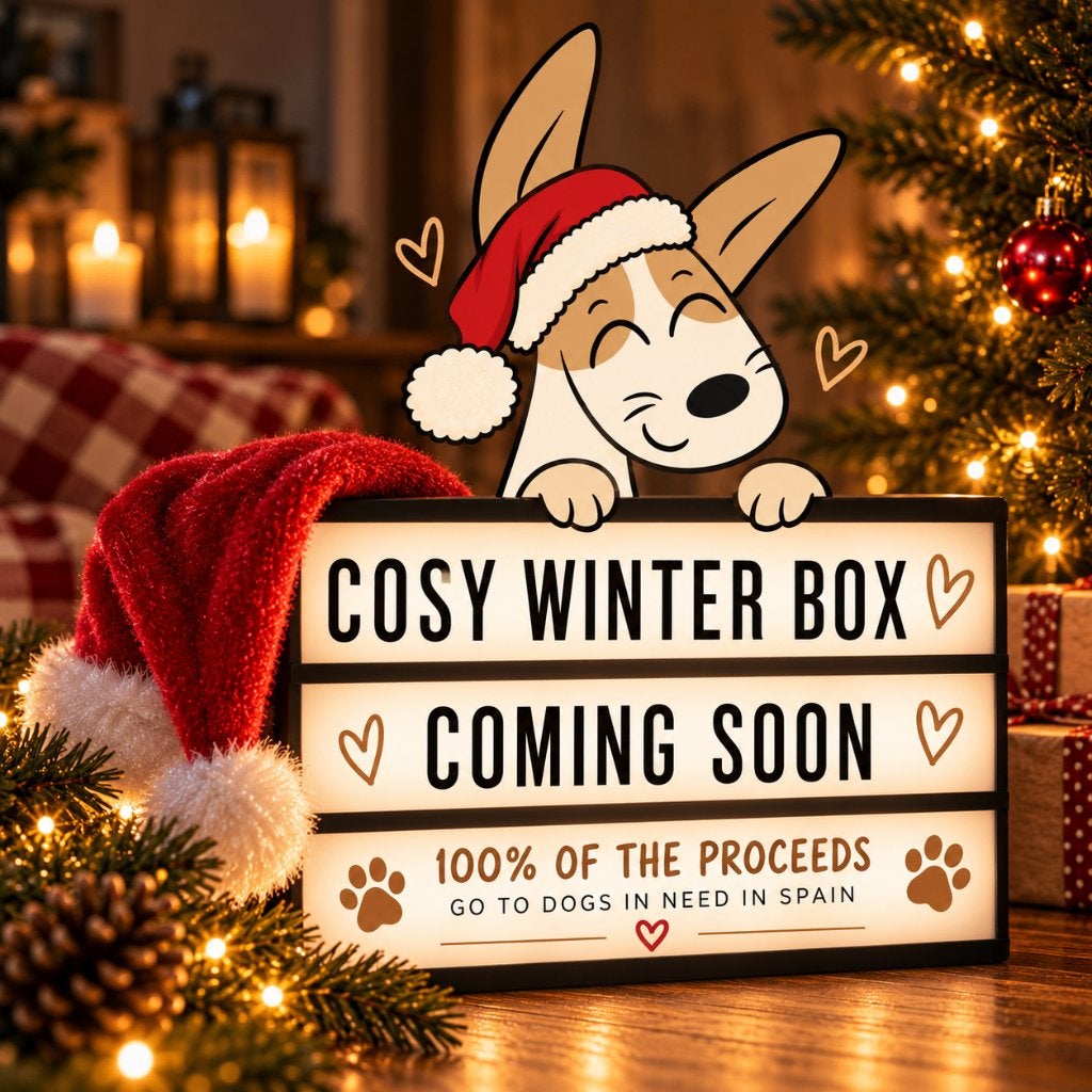 Cozy Winter Box | Kerstpakket voor Hond en Baas, Ophalen of Verzenden, Nieuw