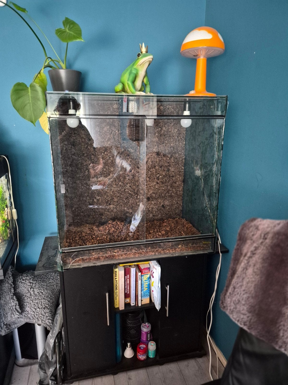 Te Koop: Terrarium 80x75x50, Ophalen, Gebruikt