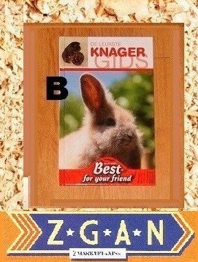 De leukste knaagdieren gids, Ophalen of Verzenden, Zo goed als nieuw, Konijnen of Knaagdieren
