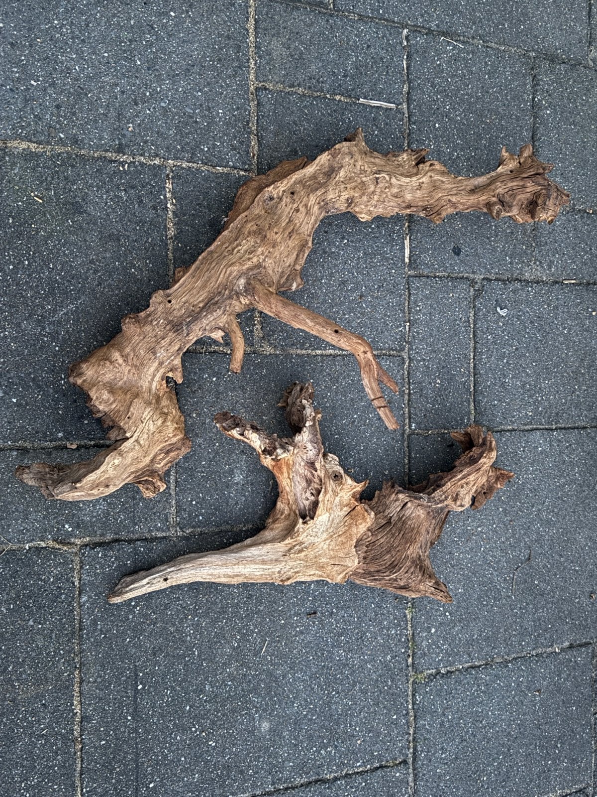 Drift wood, Ophalen of Verzenden
