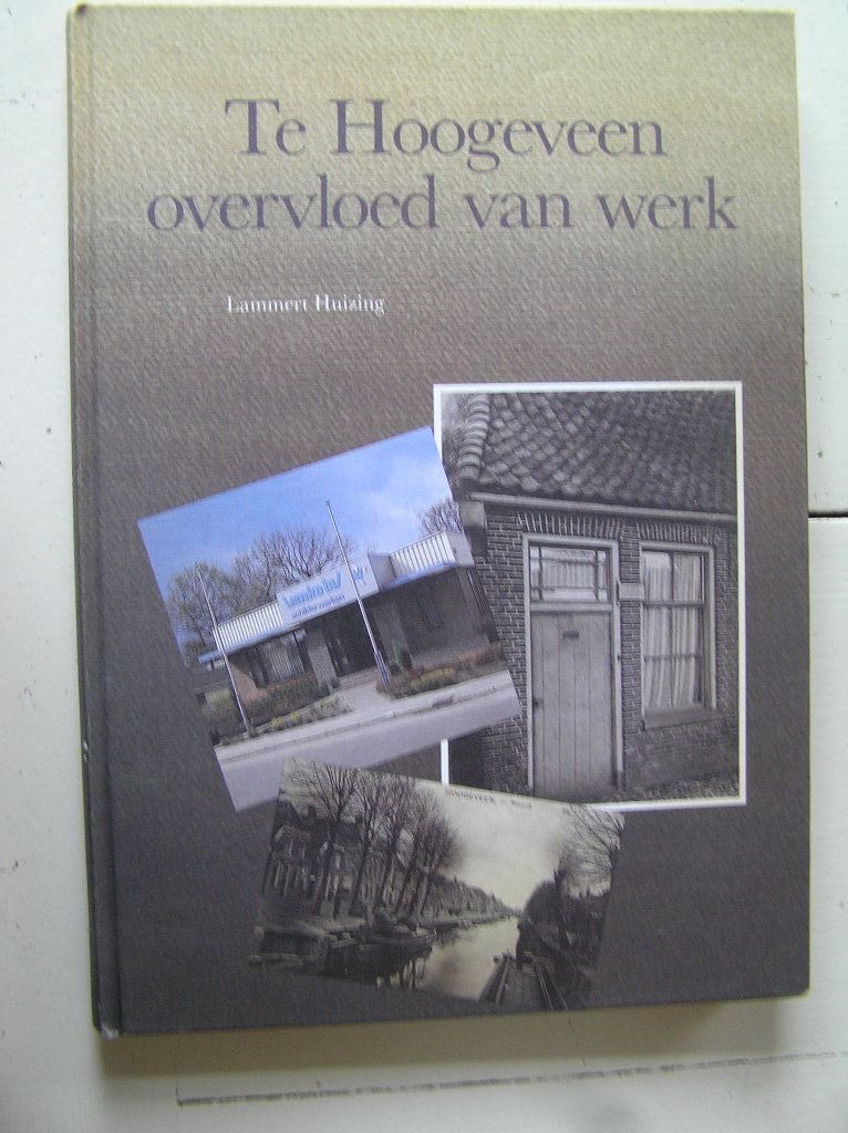 Te Hoogeveen overvloed van werk., Ophalen of Verzenden, Gelezen