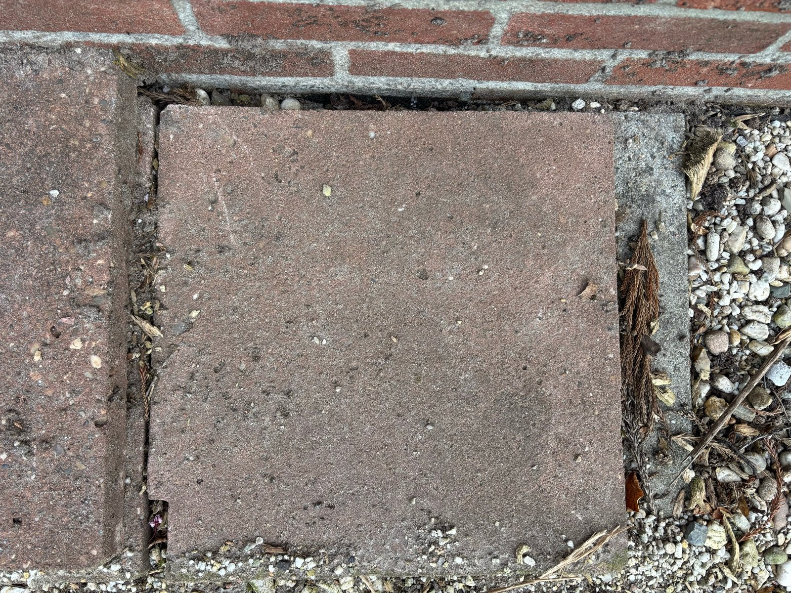 40x40 terrastegels gratis, Ophalen, Gebruikt, Beton, Terrastegels