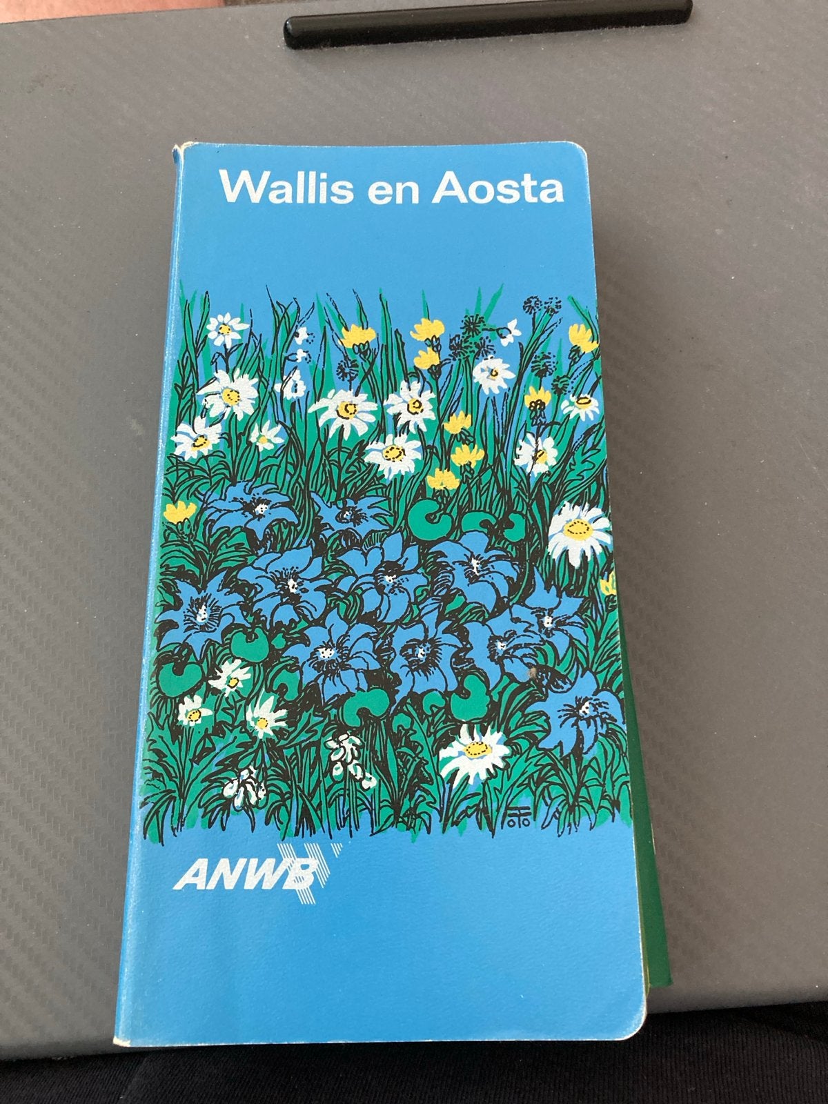 ANWB Wallis en Aosta Reisgids, Boeken, Gelezen, Europa, Ophalen of Verzenden, Reisgids of -boek