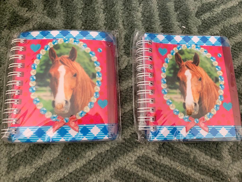 2 kleine notitieboeken werkplanner met spiraal Paarden, Diversen, Ophalen of Verzenden, Nieuw