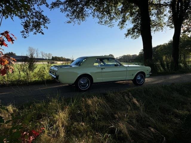 Ford USA Mustang Coupe 289cui V8 Automaat 1965, foto 5