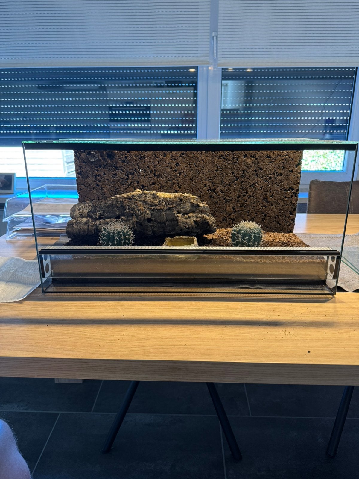 Terrarium 60x30x30 incl. accessoires, Ophalen, Gebruikt