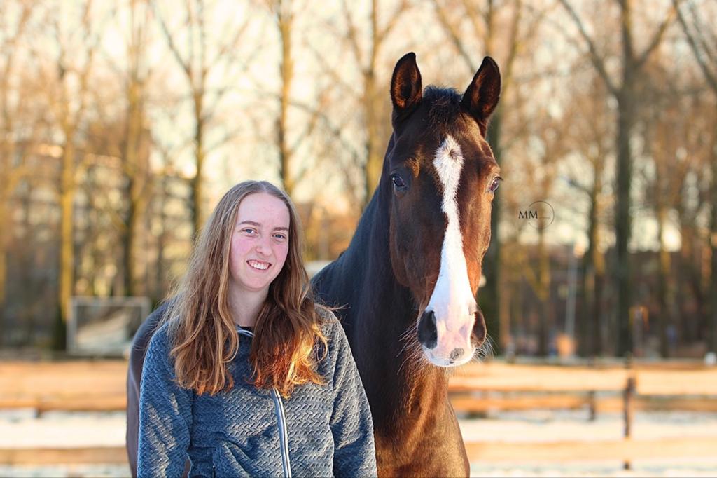 Paarden Instructie en Training aangeboden