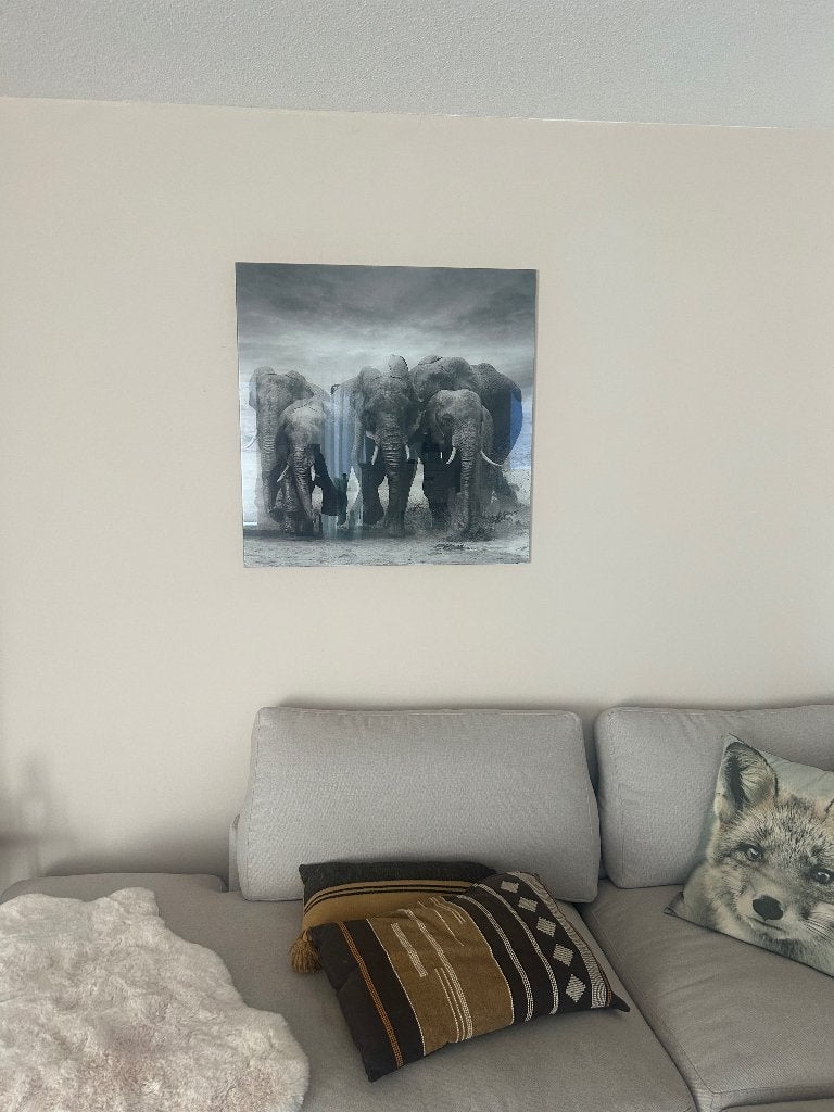 glas schilderij olifanten, Ophalen, 50 – 75, Zo goed als nieuw, Schilderij