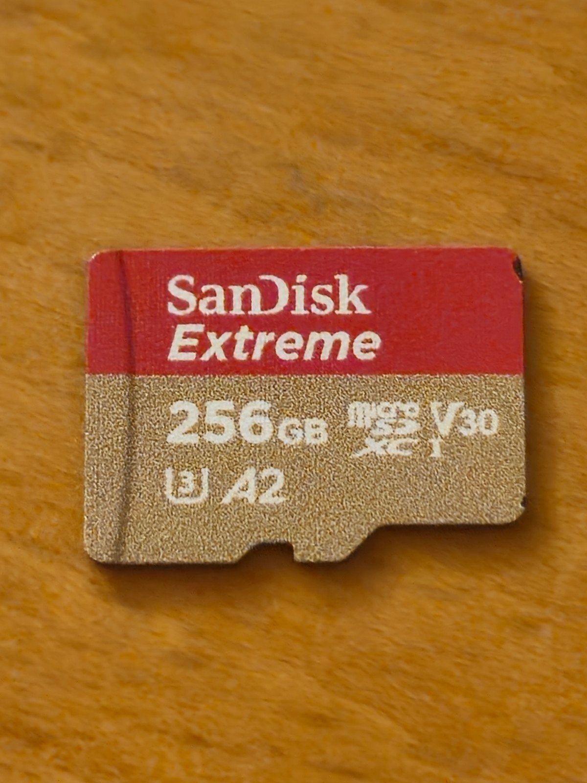 SD-kaart perfect voor fotografie of 8k-video, Ophalen, SD, Sandisk, Videocamera