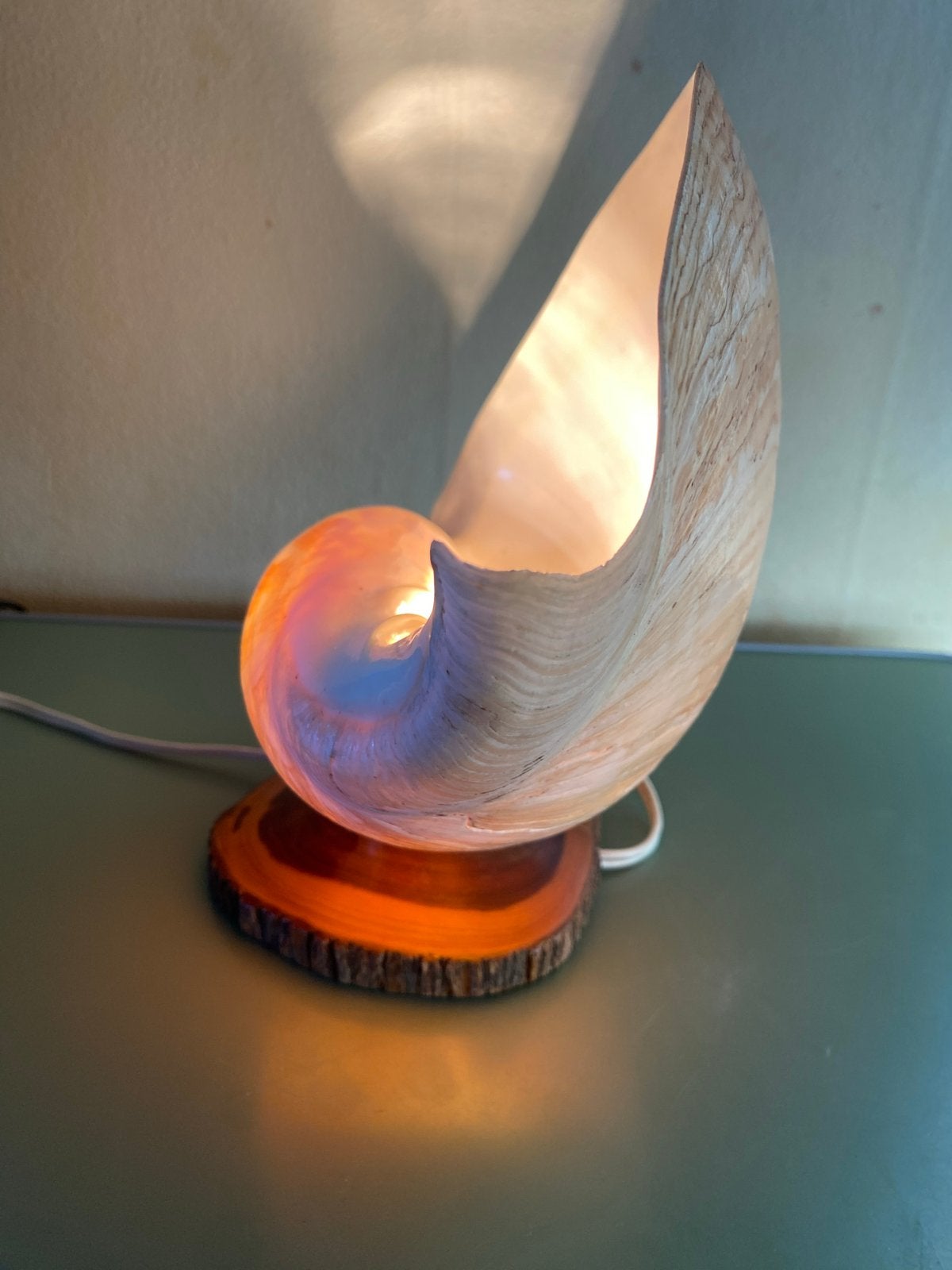 Unieke schelpenlamp op houten voet, Antiek en Kunst, Ophalen