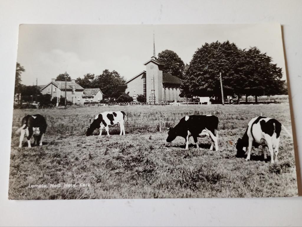 Lemele bij Ommen NH Kerk met Koeien 1968, Ophalen of Verzenden, 1960 tot 1980, Gelopen, Overijssel