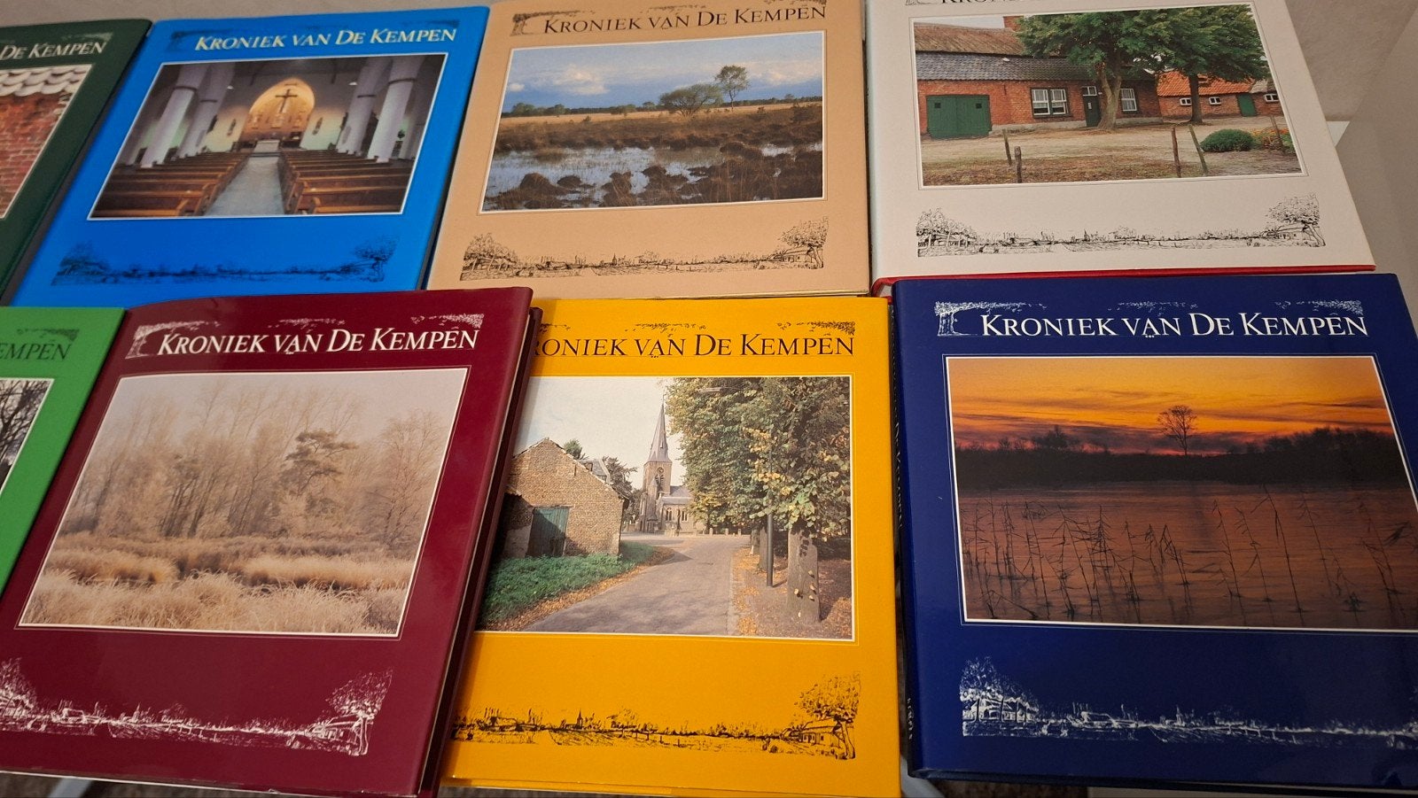 15 delen,  Kroniek van de Kempen(boeken), Ophalen of Verzenden, Zo goed als nieuw