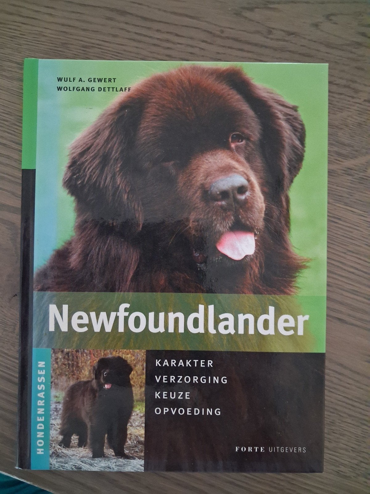 W.A. Gewert - Newfoundlander, W.A. Gewert; W. Dettlaff, Ophalen of Verzenden, Zo goed als nieuw, Paarden of Pony's