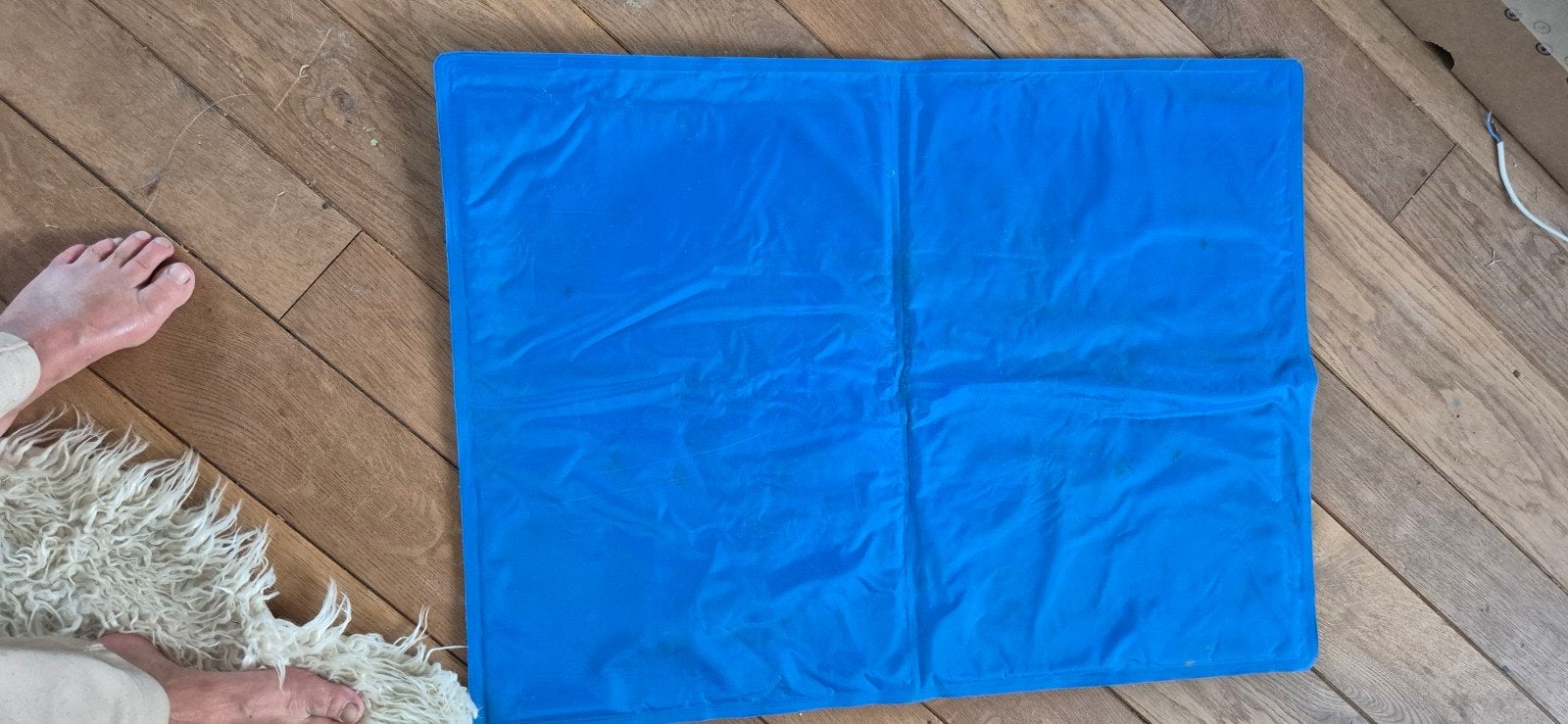 Koelmat hond, Ophalen of Verzenden
