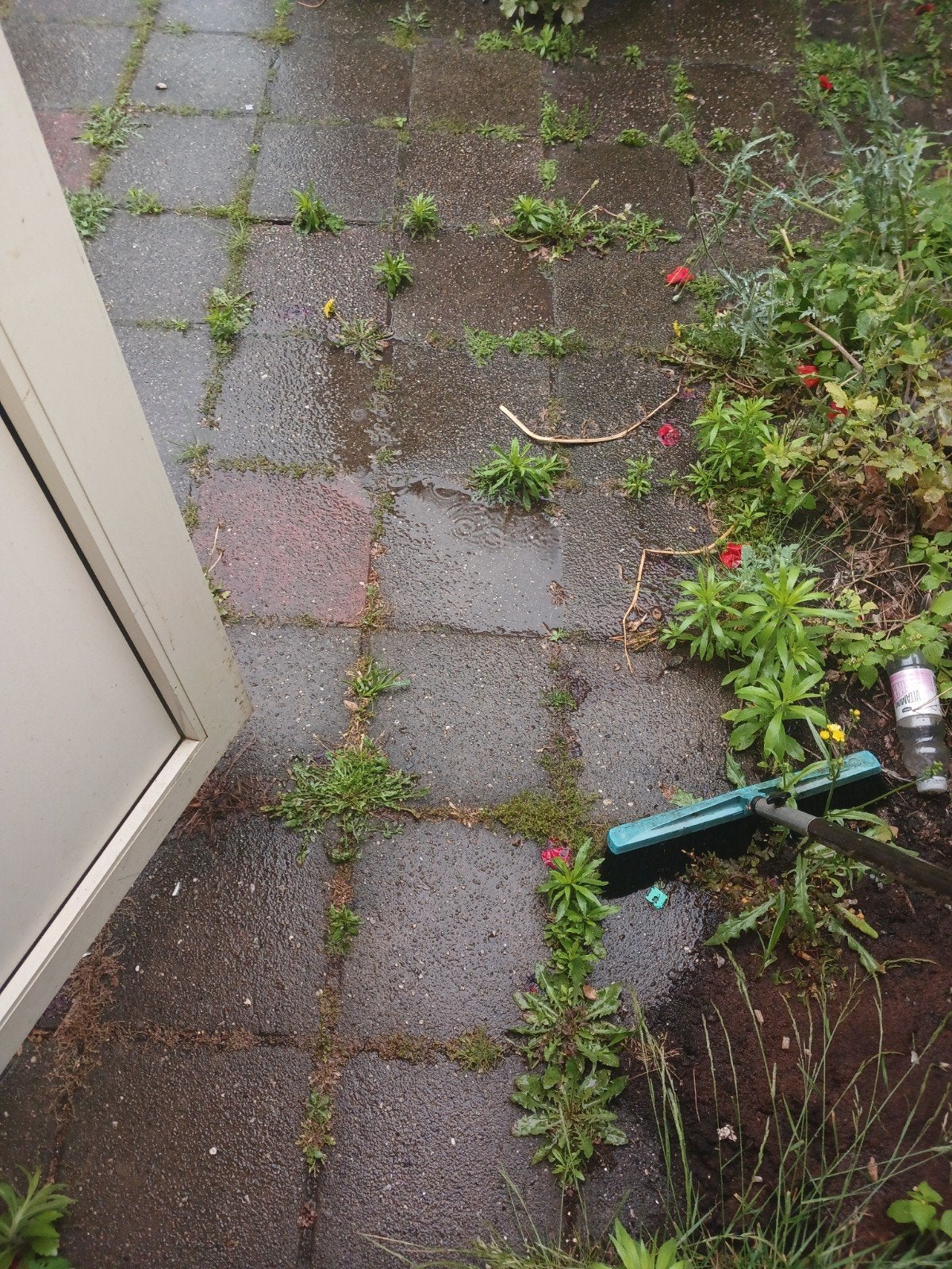 Gratis tegels af te halen 30x30, Tuin en Terras, Gebruikt, Ophalen of Verzenden, 10 m² of meer, Beton