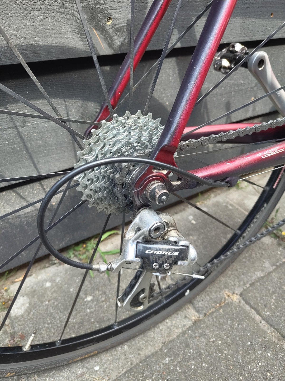 Stevens Stelvio en Ridley Pegasus racefietsen, Ophalen, Meer dan 20 versnellingen