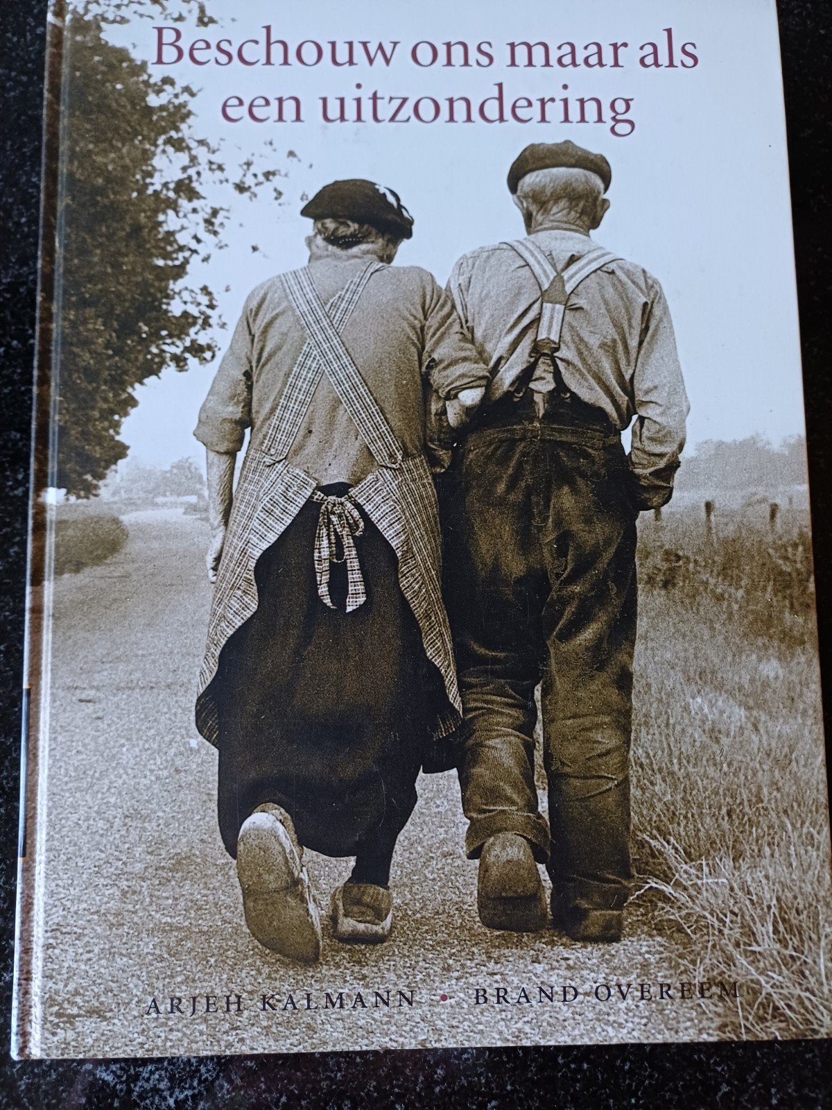 Beschouw ons maar als een uitzondering, Ophalen of Verzenden, Zo goed als nieuw, A. Kalmann