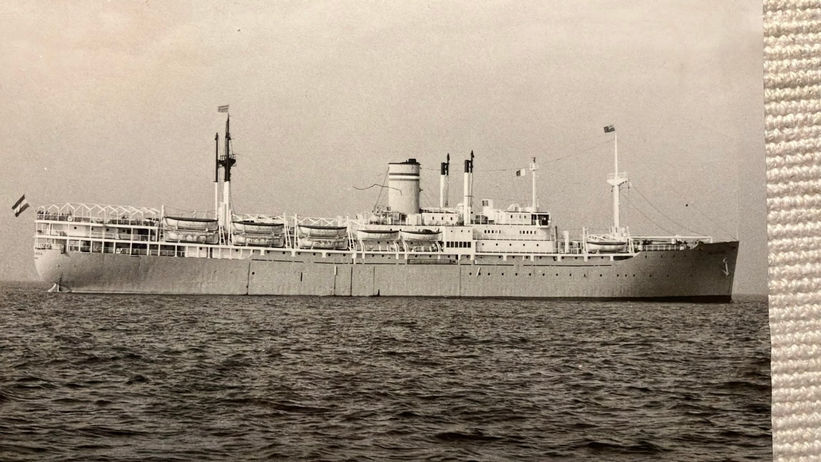 GROOTE  BEER   emigranten Canada  HAL  Holland Amerika, Verzamelen, Ophalen of Verzenden, Zo goed als nieuw, Kaart, Foto of Prent