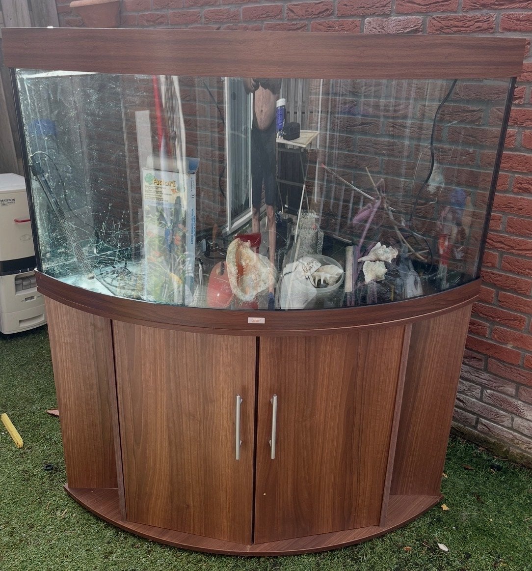 Juwel hoekaquarium 350 liter met onderkast – compleet, Dieren en Toebehoren, Vissen | Aquaria en Toebehoren, Ophalen, Gebruikt