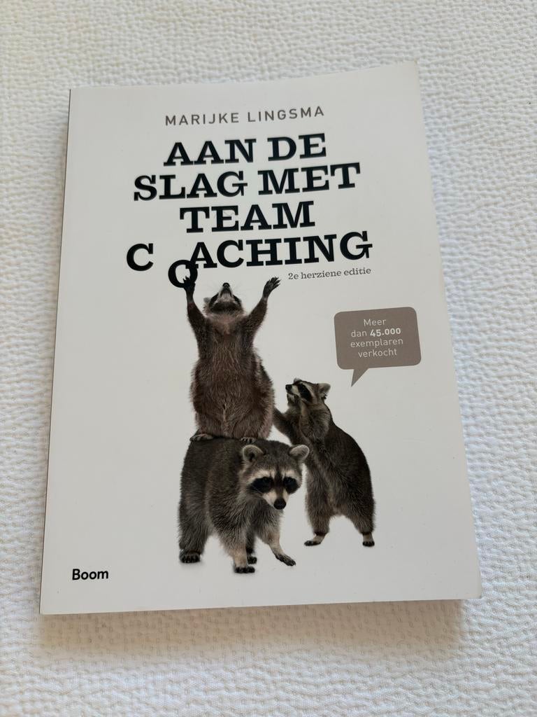 Aan de slag met teamcoaching - Marijke Lingsma, Ophalen of Verzenden, Beta, Gelezen, HBO