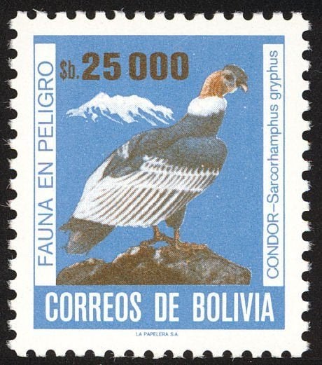 BOLIVIË 3 - Dieren: vogels (condor), Verzenden, Postfris, Dier of Natuur