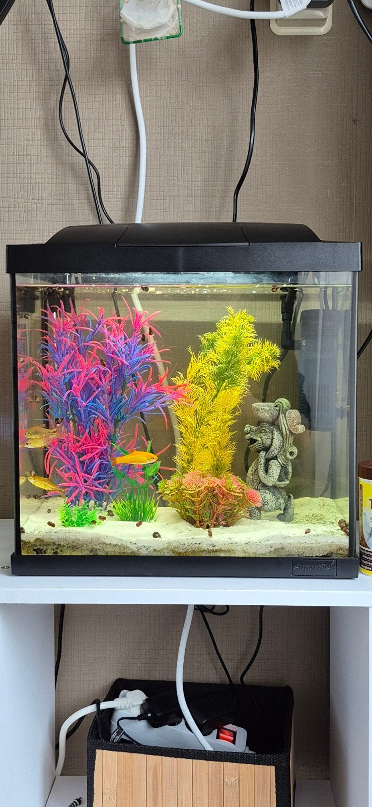 Te koop een hele mooie aquarium., Ophalen, Superfish, Inclusief vissen, Gevuld zoetwateraquarium