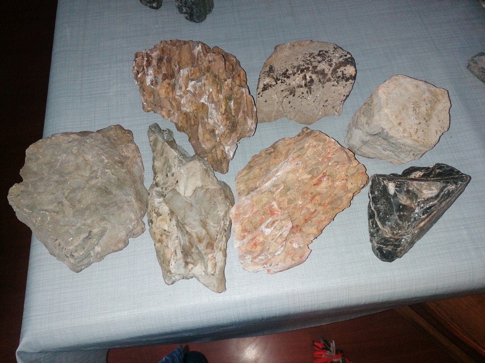Aquarium stenen, Ophalen, Plant(en), Steen of Hout