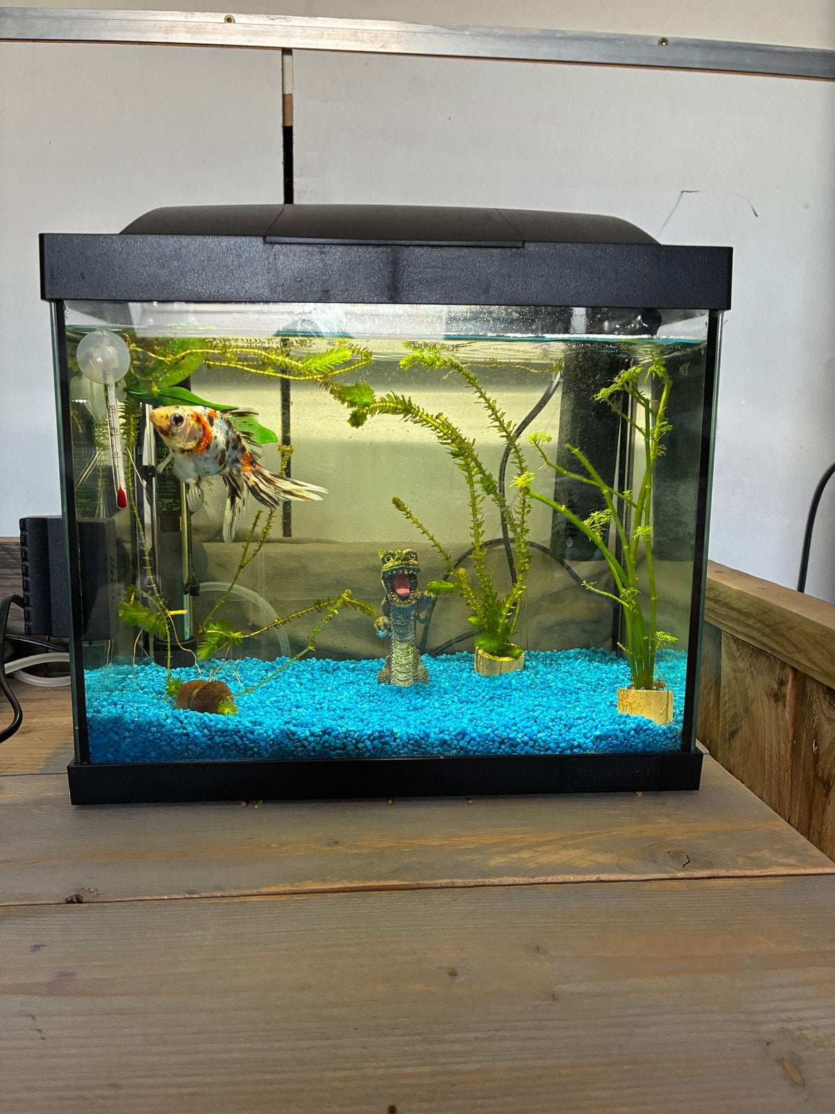 Aquarium 16 liter, Ophalen, Zo goed als nieuw, Leeg aquarium