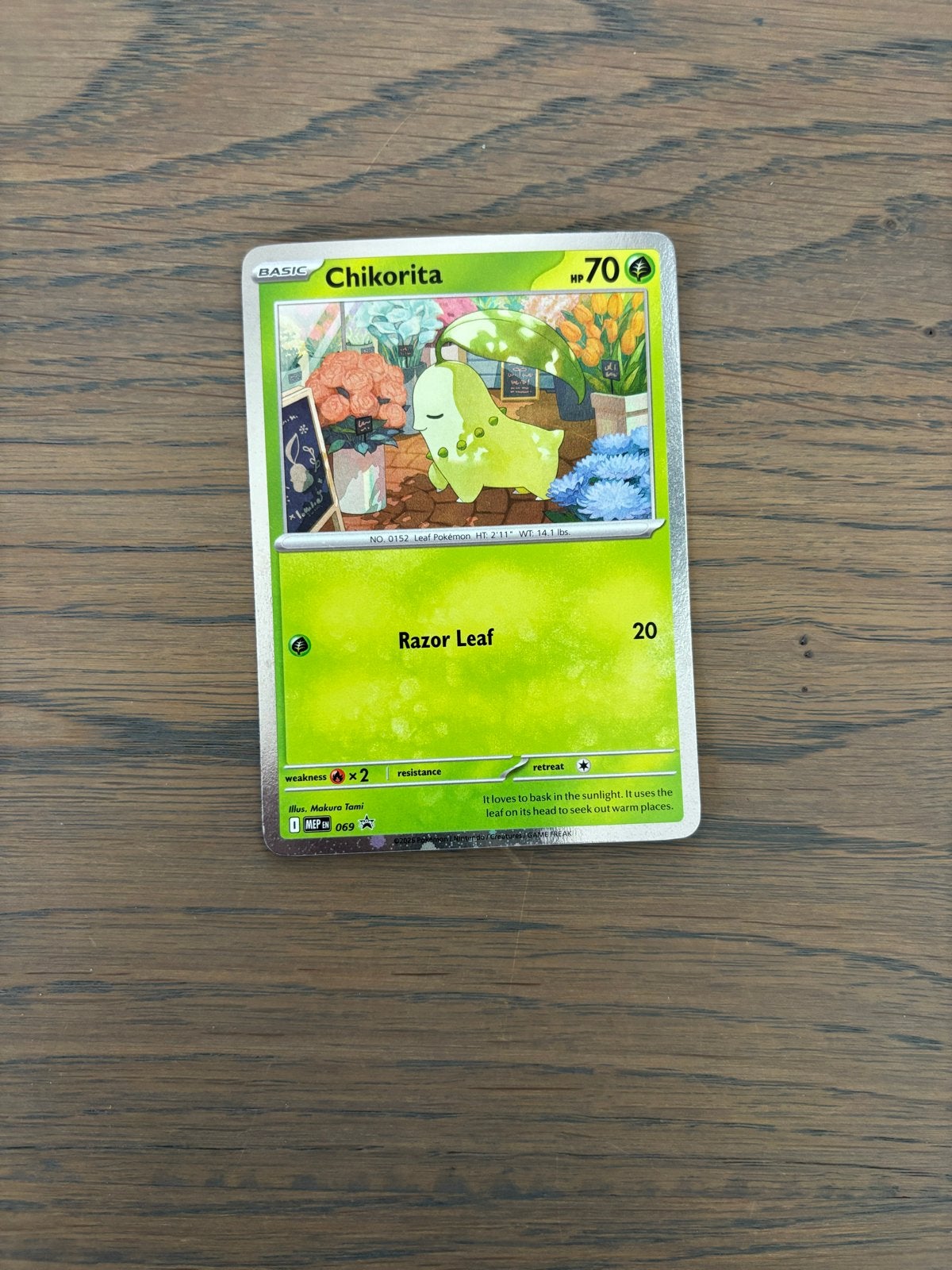 Pokémon Kaart Chikorita HP70 - Basic, Ophalen of Verzenden, Nieuw, Losse kaart
