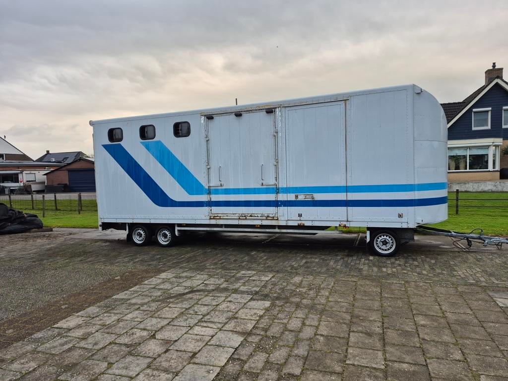 Nette 3 paards schamelwagen, 2 of 3 paarden of pony's