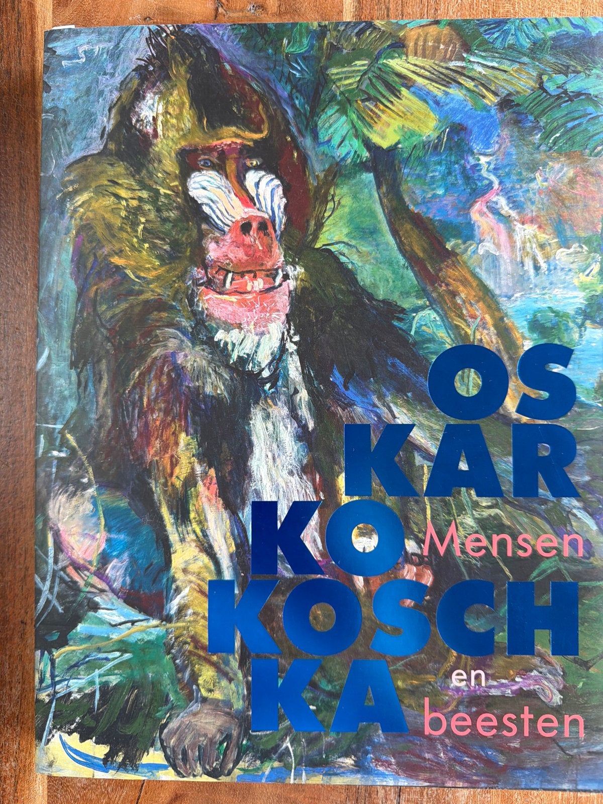 Oskar Kokoschka: Mensen en Beesten - Museum Boijmans, Boeken, Ophalen of Verzenden, Zo goed als nieuw, Schilder- en Tekenkunst