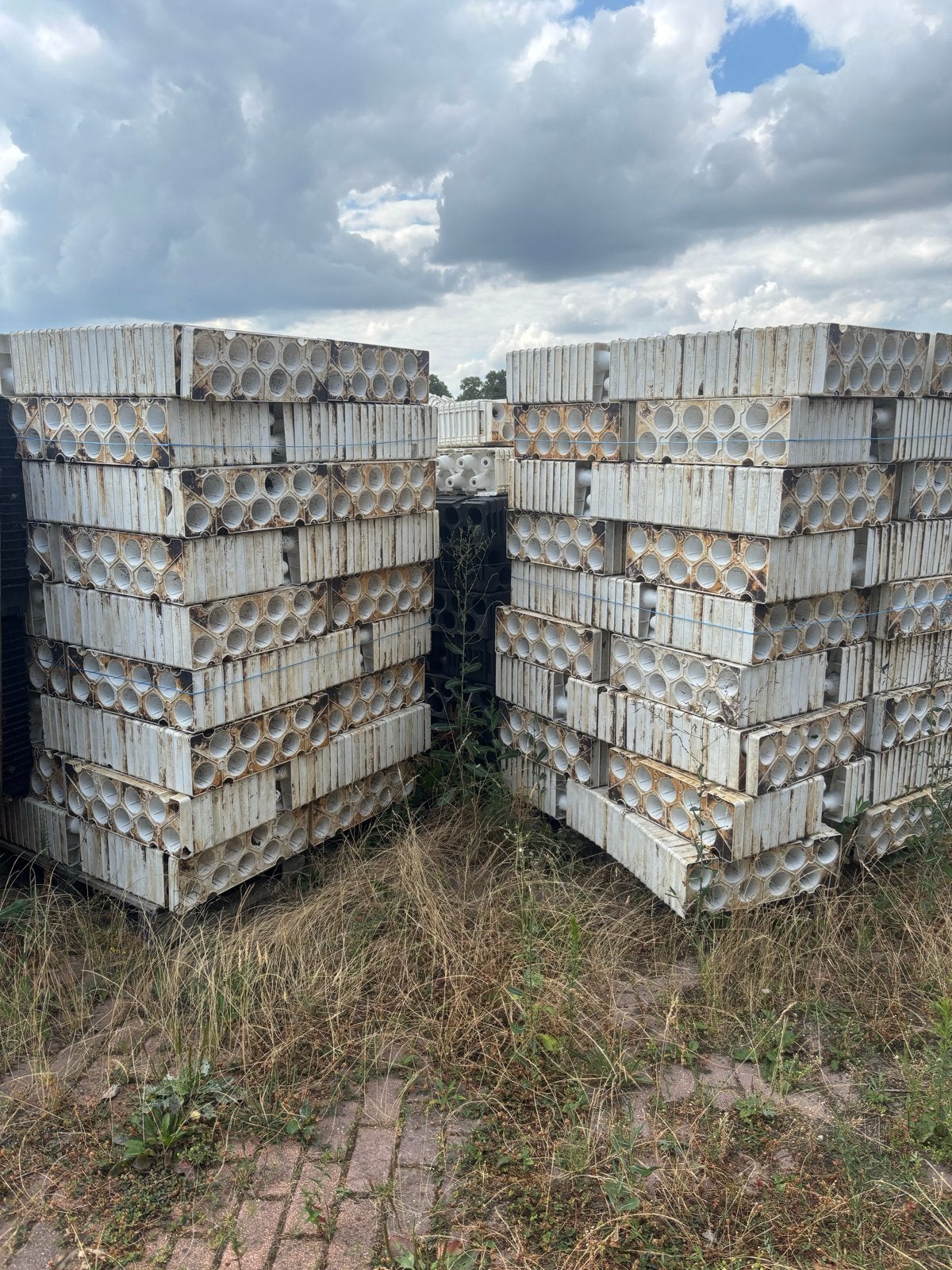 Ongeveer 1100 gebruikte trays voor planten/kwekerij, Ophalen, Kunststof, Gebruikt, Minder dan 30 cm