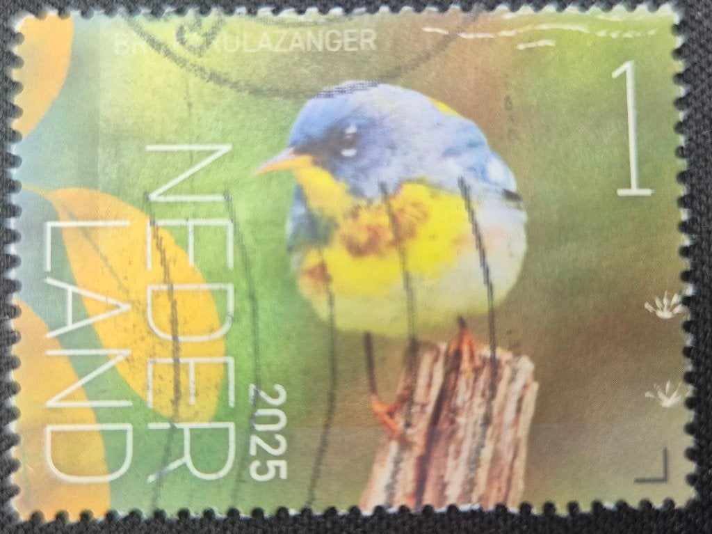 Postzegel Nederland 2025, Postzegels en Munten, Postzegels | Nederland, Ophalen of Verzenden, Na 1940, Gestempeld