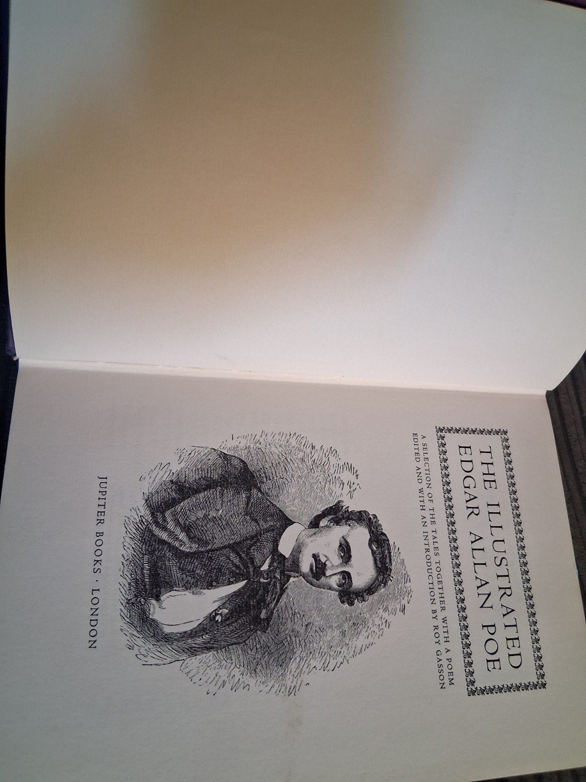 The Illustrated Edgar Allan Poe - Hardcover 1976, Boeken, Ophalen of Verzenden, Gelezen