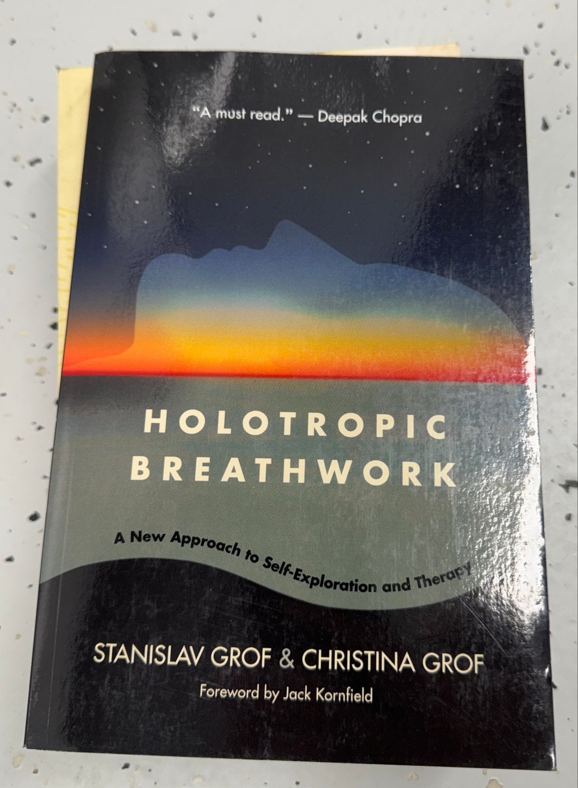 Holotropic Breathwork: Zelfexploratie en Therapie, Ophalen of Verzenden, Zo goed als nieuw, Spiritualiteit algemeen, Achtergrond en Informatie