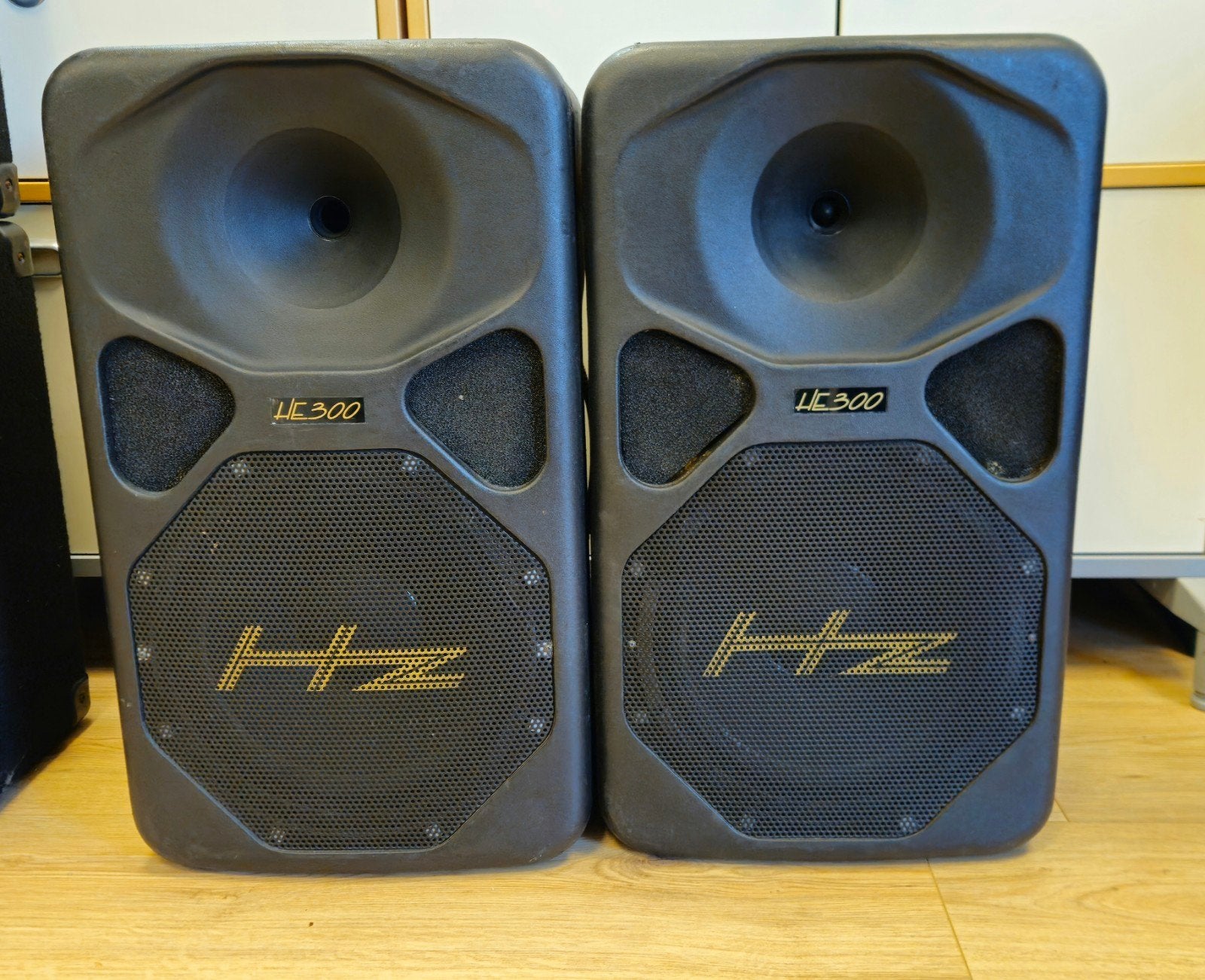 Hz HE300 MK2 Passieve Luidsprekers - 300W RMS, Gebruikt, Overige typen, Ophalen, 150 watt of meer
