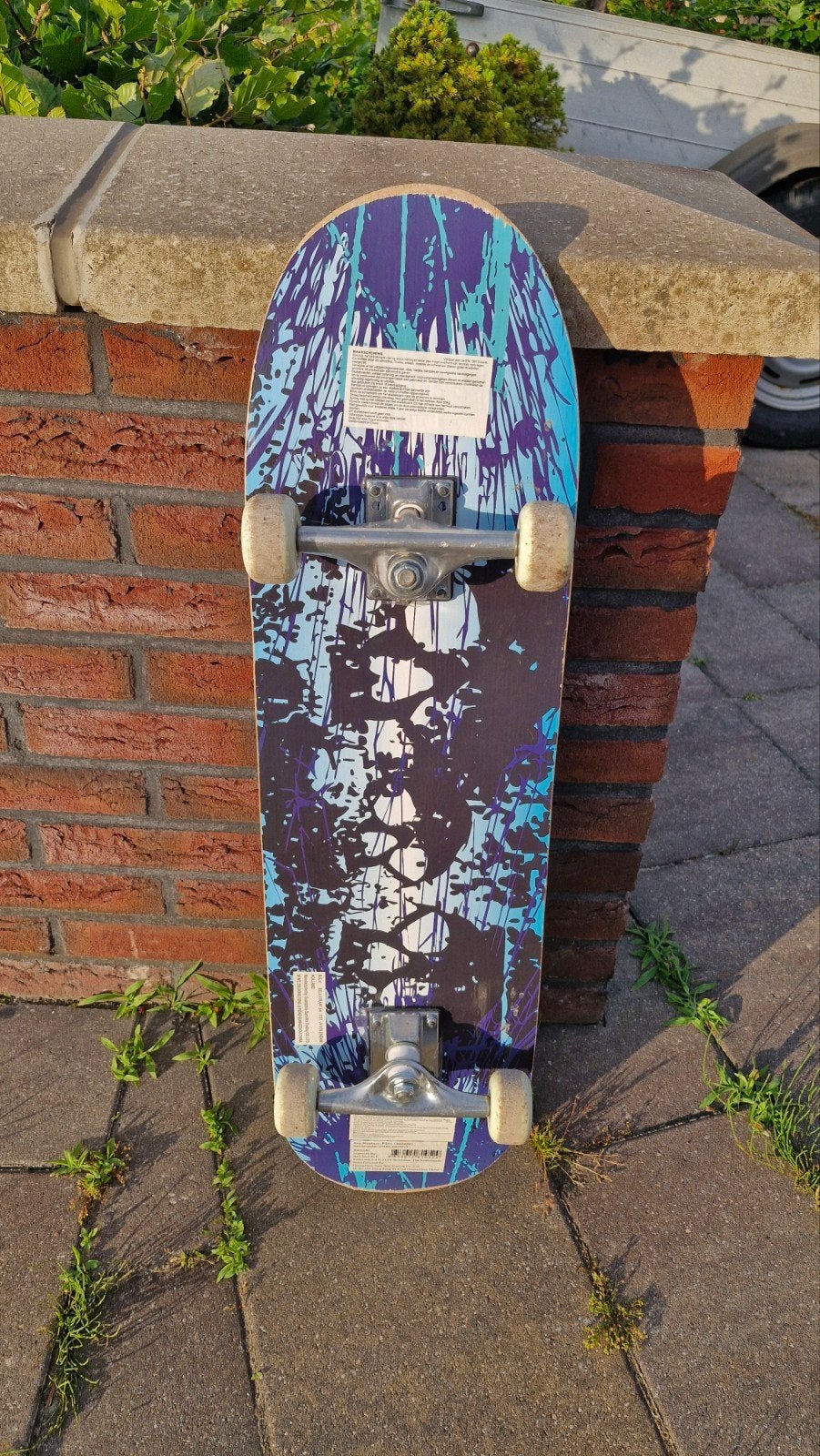 Skateboard met leuk design, Ophalen, Gebruikt, Skateboard